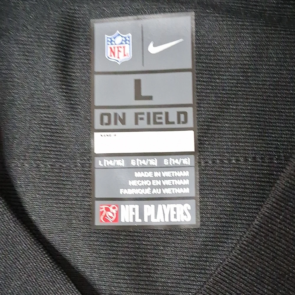 Nike Black Oakland Raiders Football Jersey with CARR #4